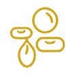 Pulses