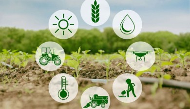 Our impact goes beyond rice