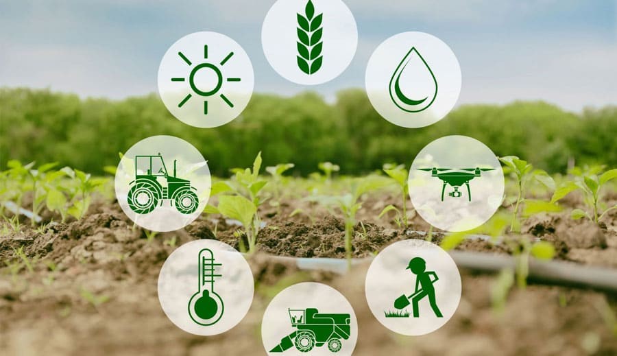 OneRicePH: 25 new rice lines moving closer to Filipino farmers&rsquo; fields